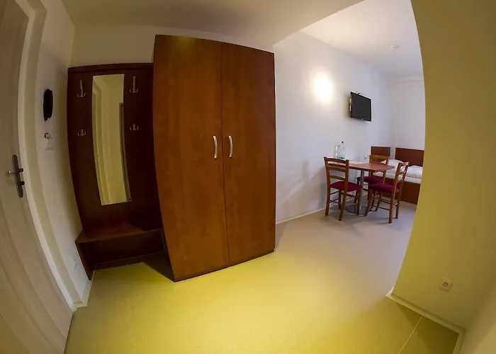 Sport 체스케부데요비체