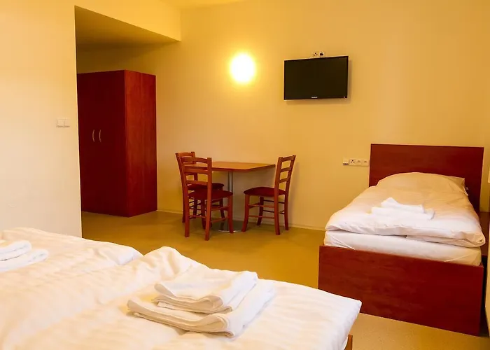 Sport 체스케부데요비체