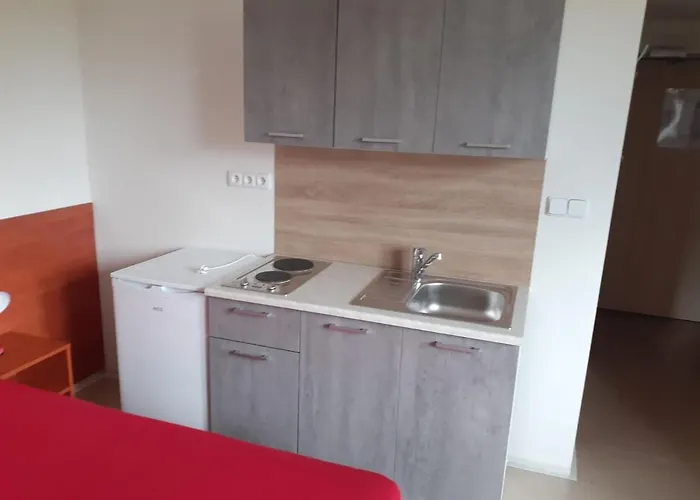 호텔 Sport 체스케부데요비체